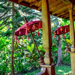 4* Vakantiepark Swasti Eco