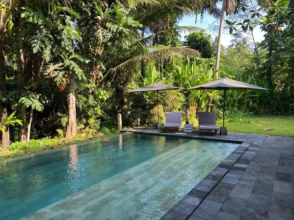 The Civyt Hotel Ubud